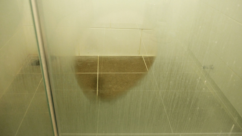 Dirty glass shower doors