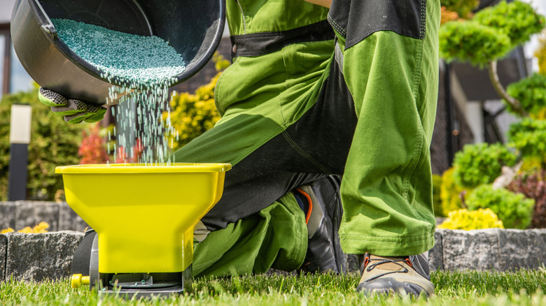 A person pouring pellets into spreader
