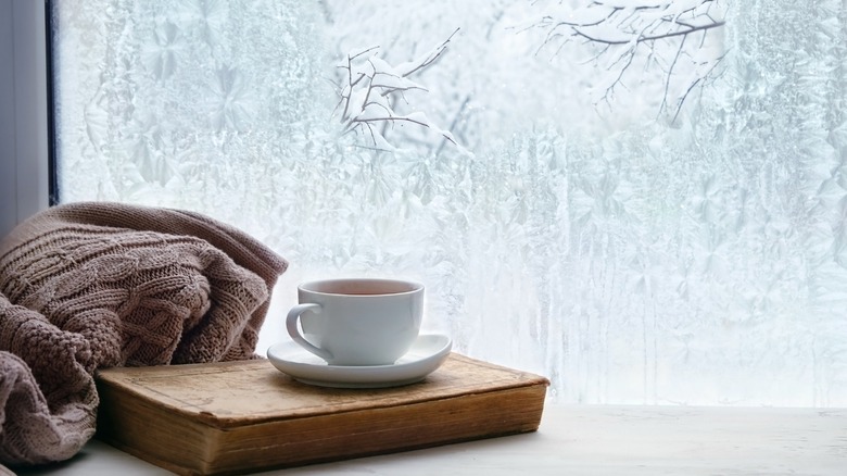 frosted home window