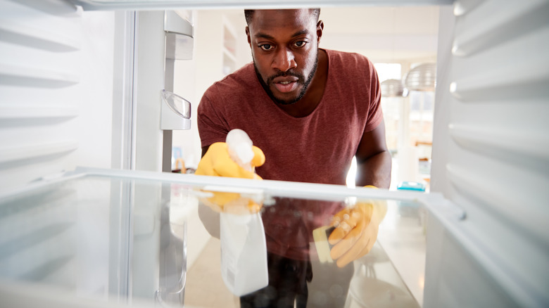 Person cleaning inside of refrigerator