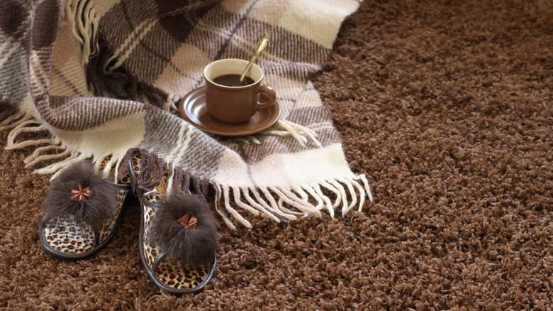 Brown shag carpeting 