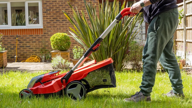 Lithium battery-powered mower