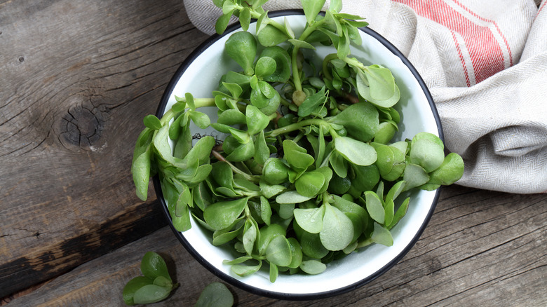 Pursalen salad