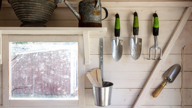 Garden tools stored inside a small shed.