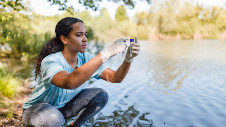 woman checking water quality beside lake