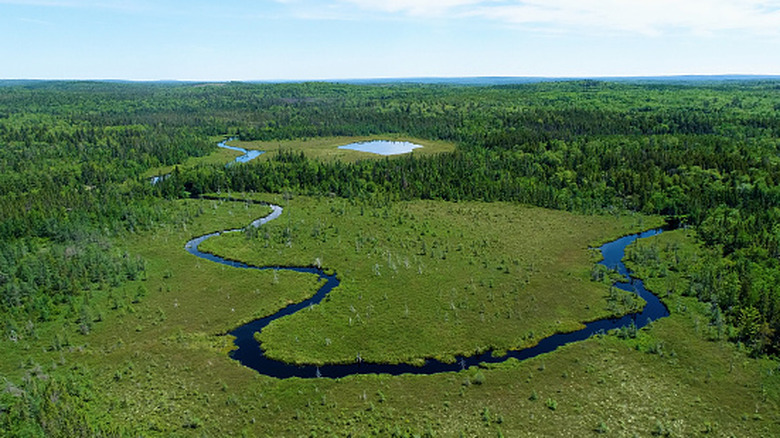 aerial view of river leading to pond