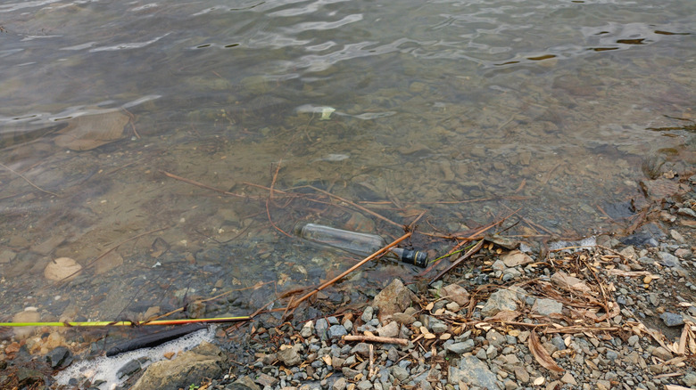 glass bottle on shore of lake