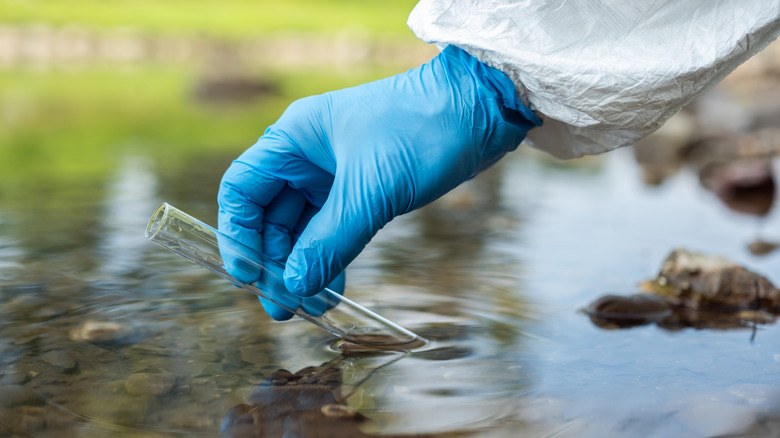 person filling a test tube with water from lake