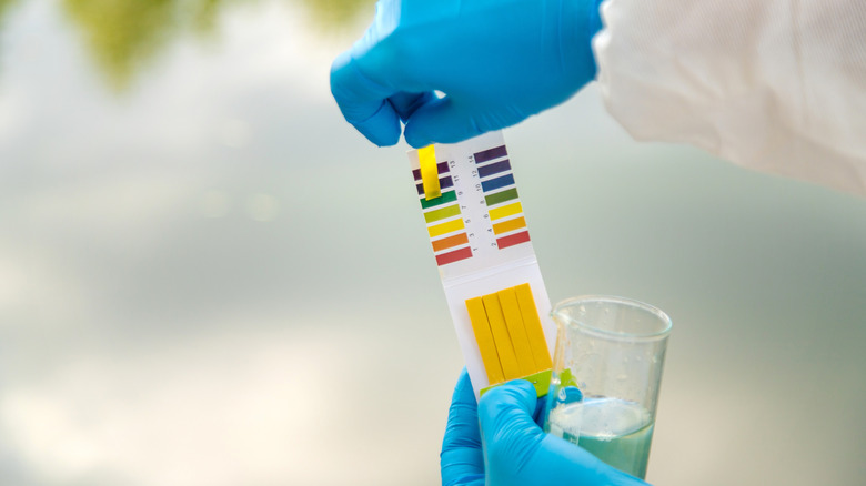 person testing lake water pH with kit