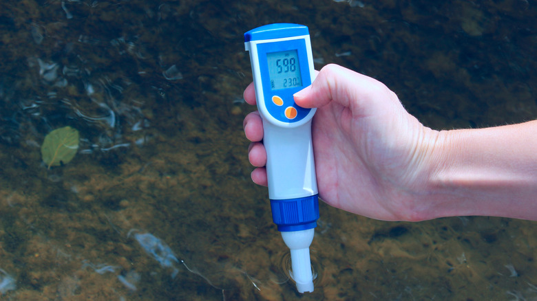 person testing temperature and parameters of water