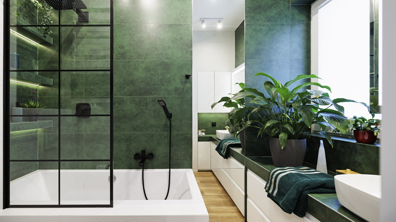Greenery in bathroom