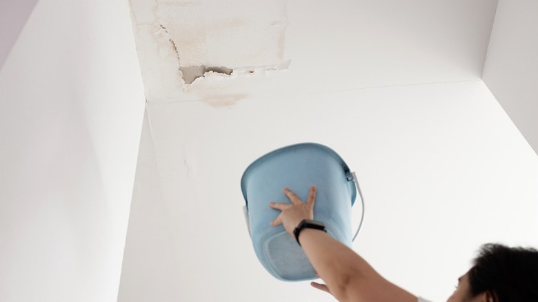 Person holding bucket under water leak from crumbling ceiling