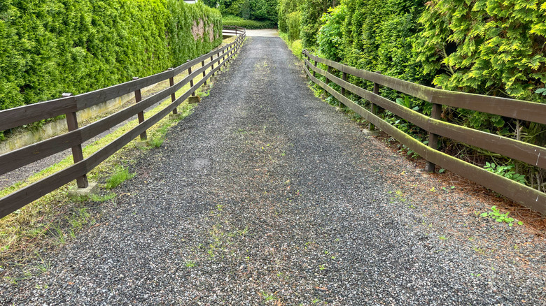Gray gravel driveway.
