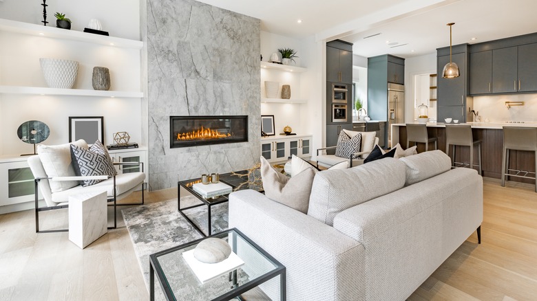 Living room and fireplace