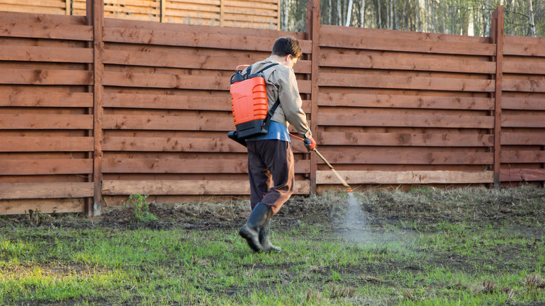 person spraying herbicide