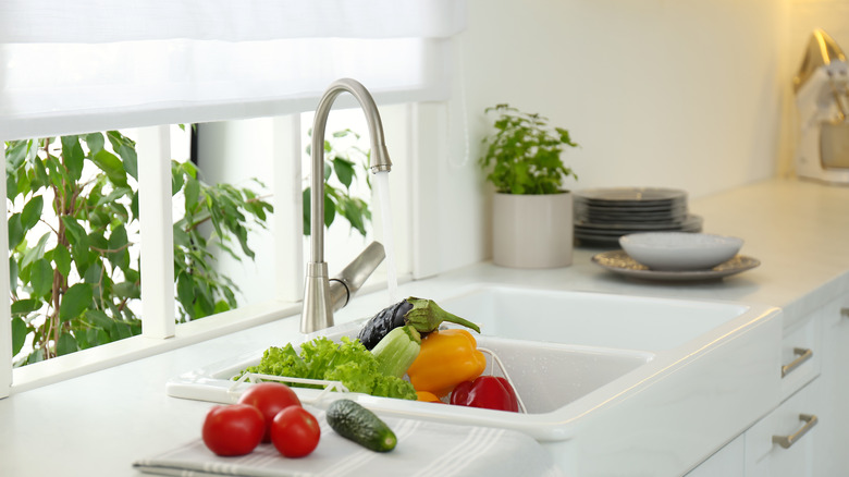 Kitchen sink under window