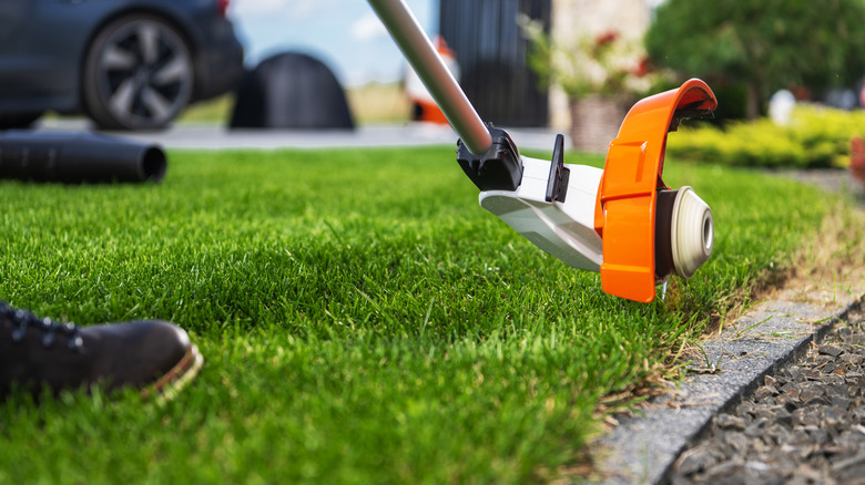 A person edges from the grass side of a spot where the grass and sidewalk meet