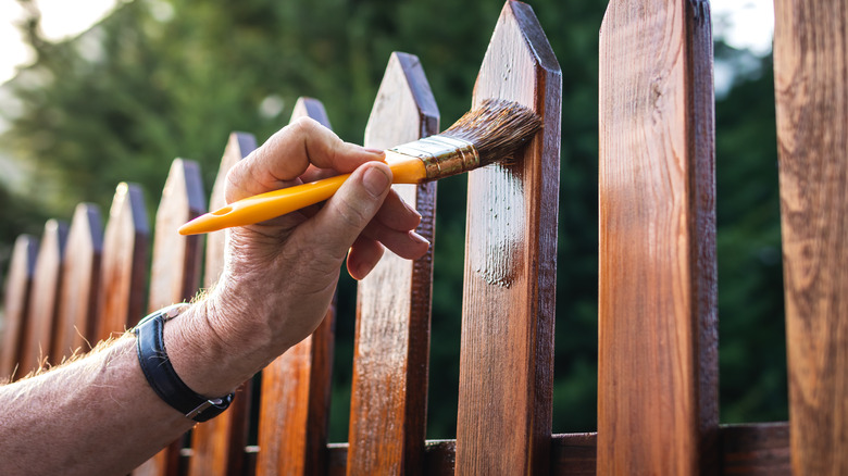 Person staining wood fence