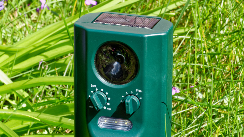 Is Ultrasonic Pest Control Safe For A Bird Watcher's Yard?