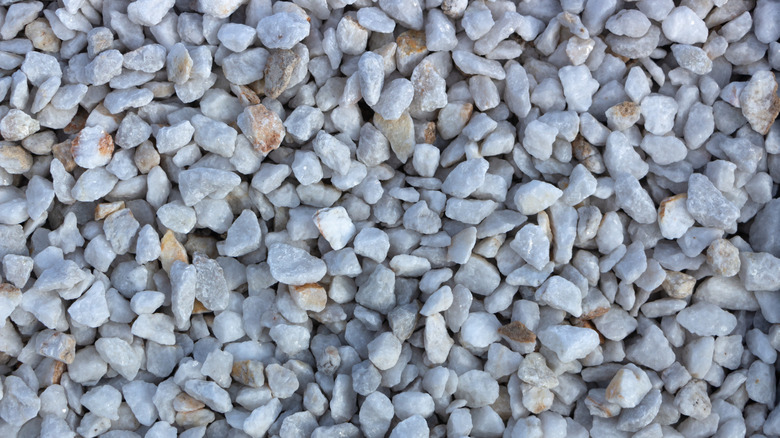 White marble chip gravel