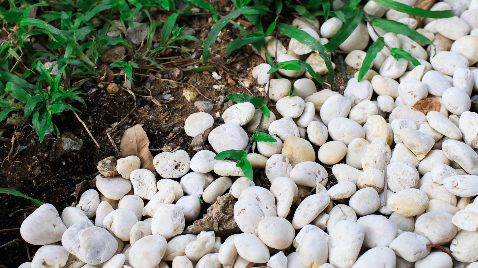White Grava Rocks Is White Gravel A Good Choice For Landscaping? Here's What You Need To ...