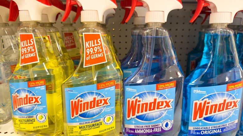Varieties of Windex on store shelf