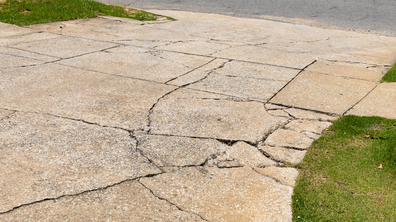 A cracked and crumbling concrete driveway