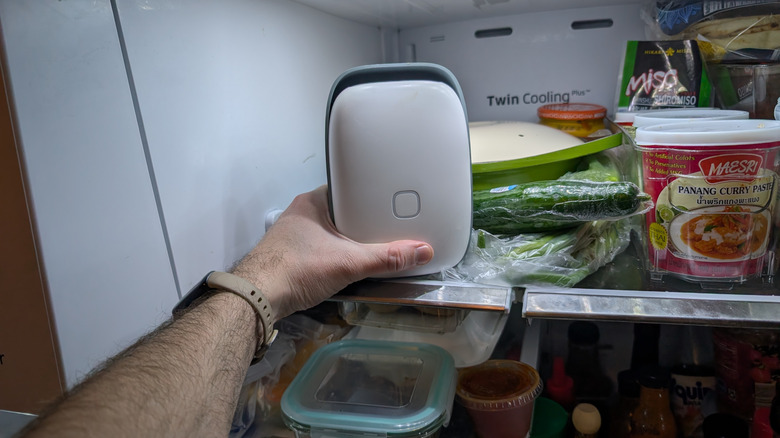 Man's hand placing a Shelfy in a packed refrigerator shelf