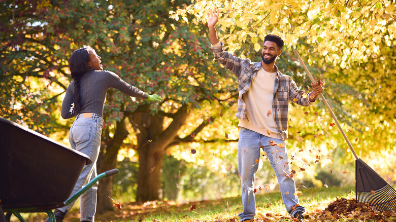 A couple raking leaves