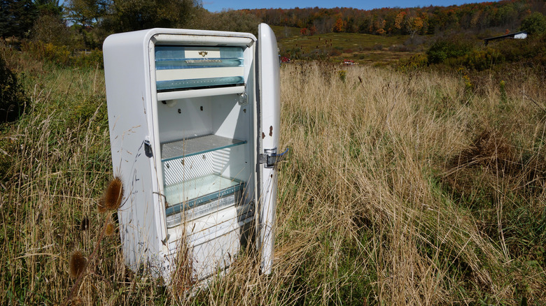 Abandoned refrigerator in a field
