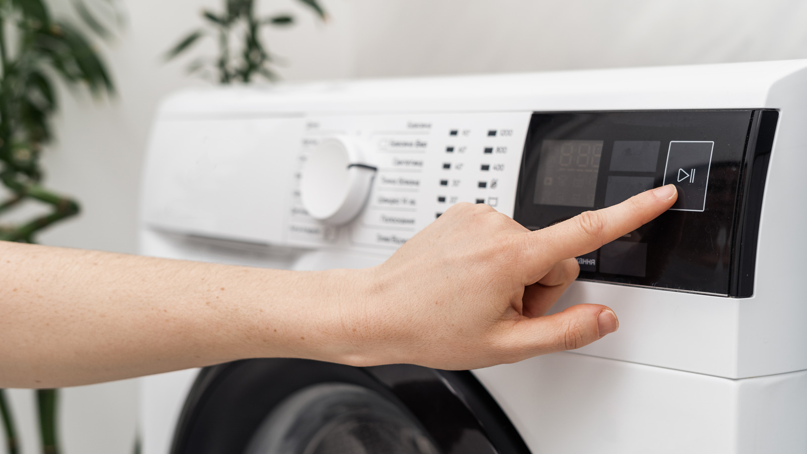 Is Your Washer's SelfClean Cycle The Answer To A MoldFree Machine?