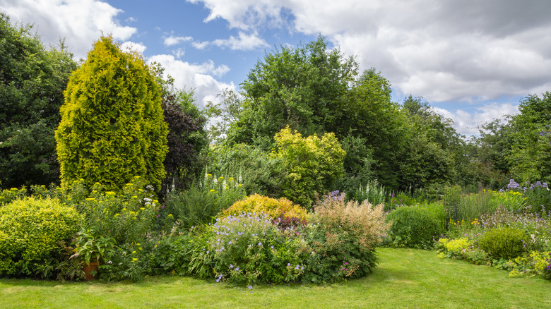 A lush island bed in front of blooming flower borders