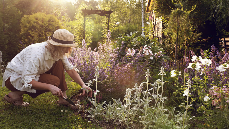 A woman wearing a straw hat tends the plants in her cottage-style garden with a trowel.