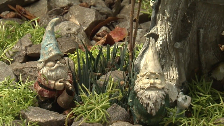 A couple of garden gnomes add character to a garden.