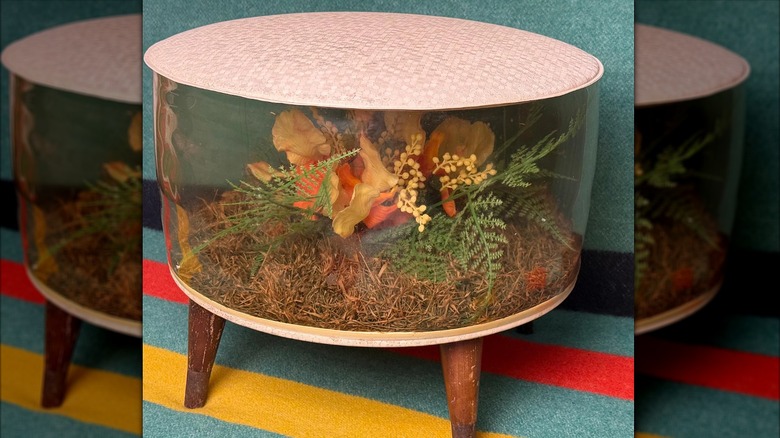 A vintage 1960s inflatable terrarium stool on a bold colored rug.
