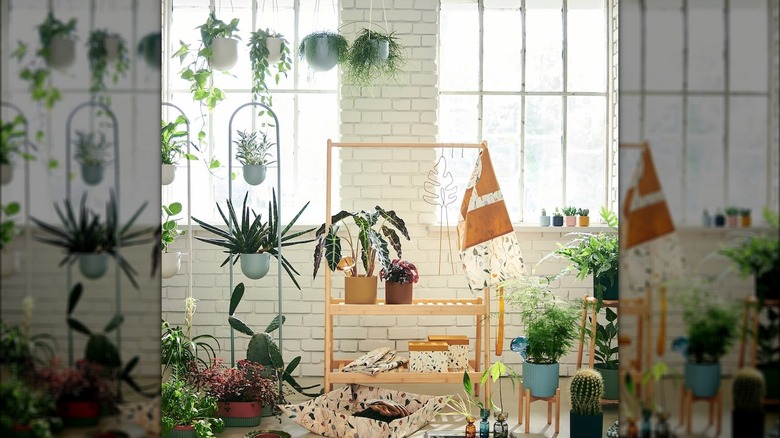 IKEA DAKSJUS collection promo
