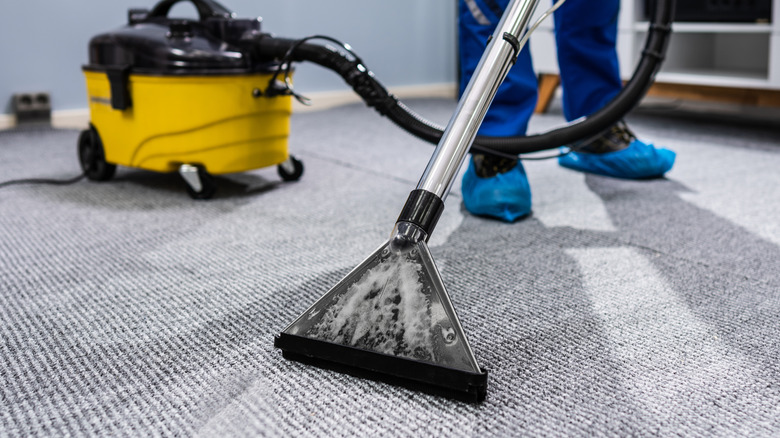 Person deep cleaning carpeting