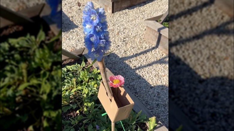 Cardboard box on a post with a pink and blue flower in a raised garden bed.