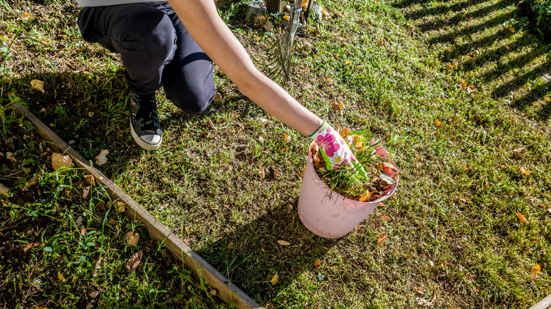 A person pulls unwanted plants out of an overgrown garden bed in their backyard.