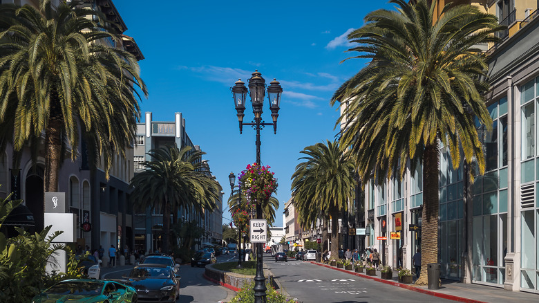 City street in San Jose, California, lined with palm trees