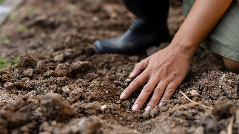 Person kneeling down to check the health of garden soil