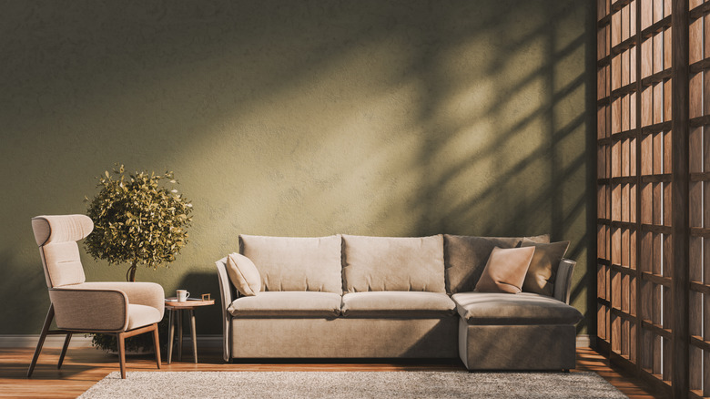 A room with olive green walls.