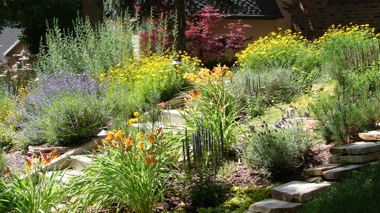 A xeric garden thrives without much water or conventional pesticides.