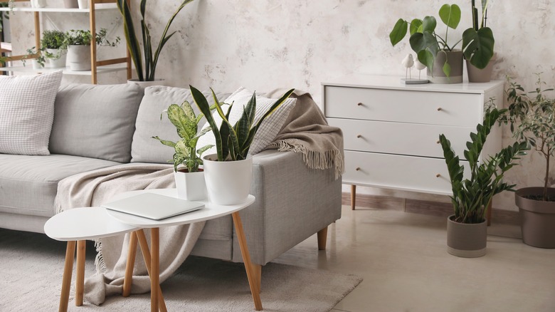 California Casual design