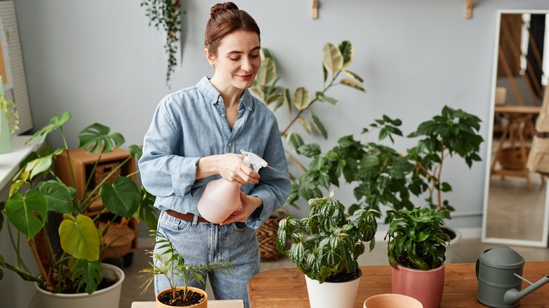 Woman watering indoor plants