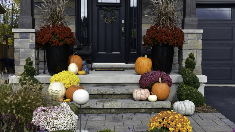 Planters arranged along a front porch.