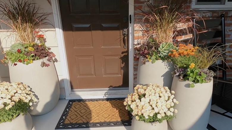 A front porch featuring clustered planters with fall blooms.