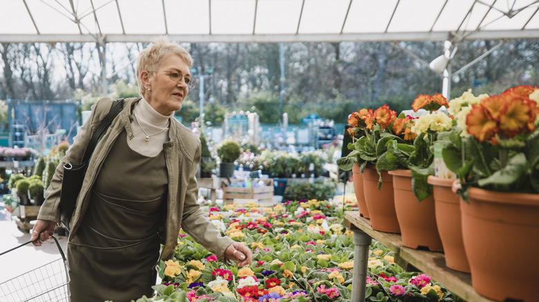 A woman shops at a plant nursery for fall container plants.