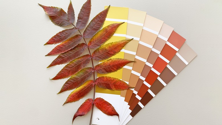 A branch of fall leaves on top of a fanned color palette of paint sample cards.