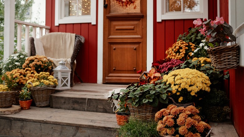A charming front porch covered in fall planters.